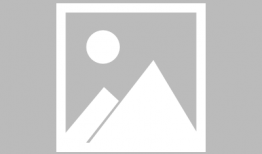 免费看漫画,尽在指尖